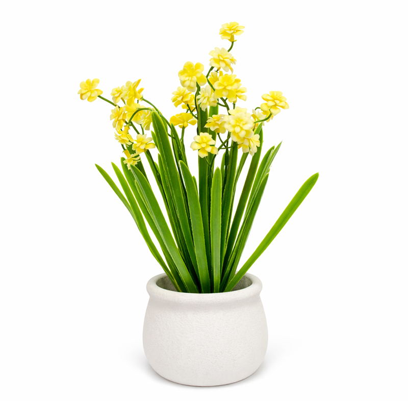 Maceta Cerámica con Jacinto Amarilla 28cm