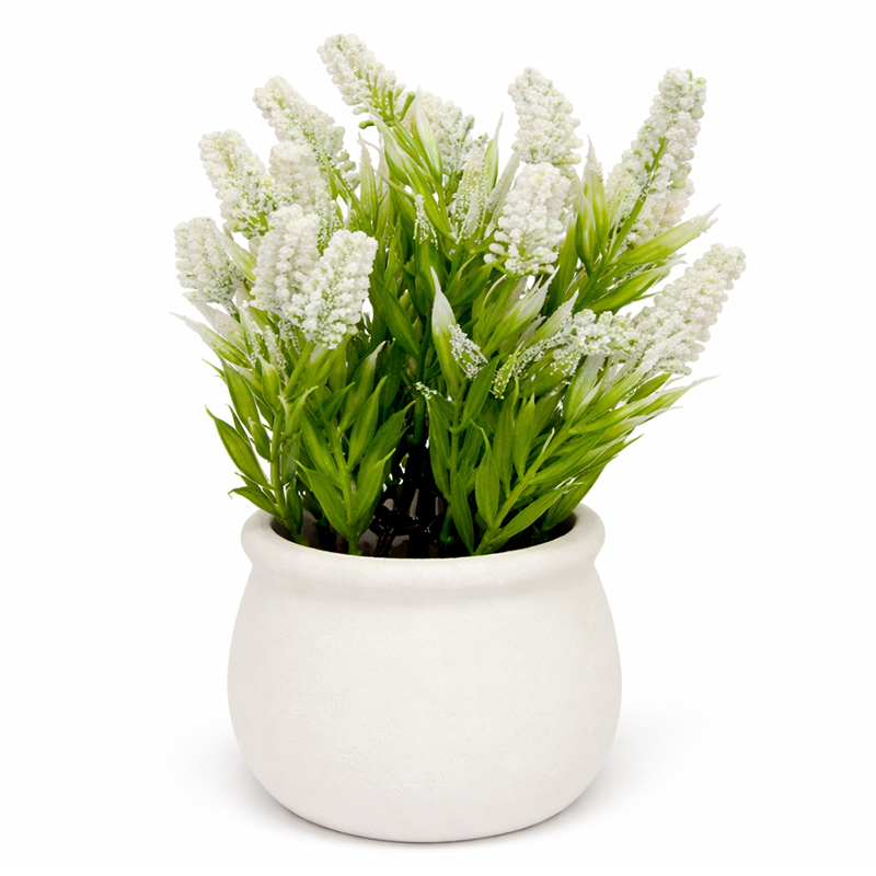 Maceta Cerámica con Flor Lavanda Blanca 22cm