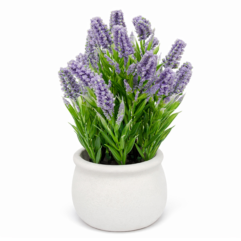 Maceta Cerámica con Flor Lavanda Lila 22cm