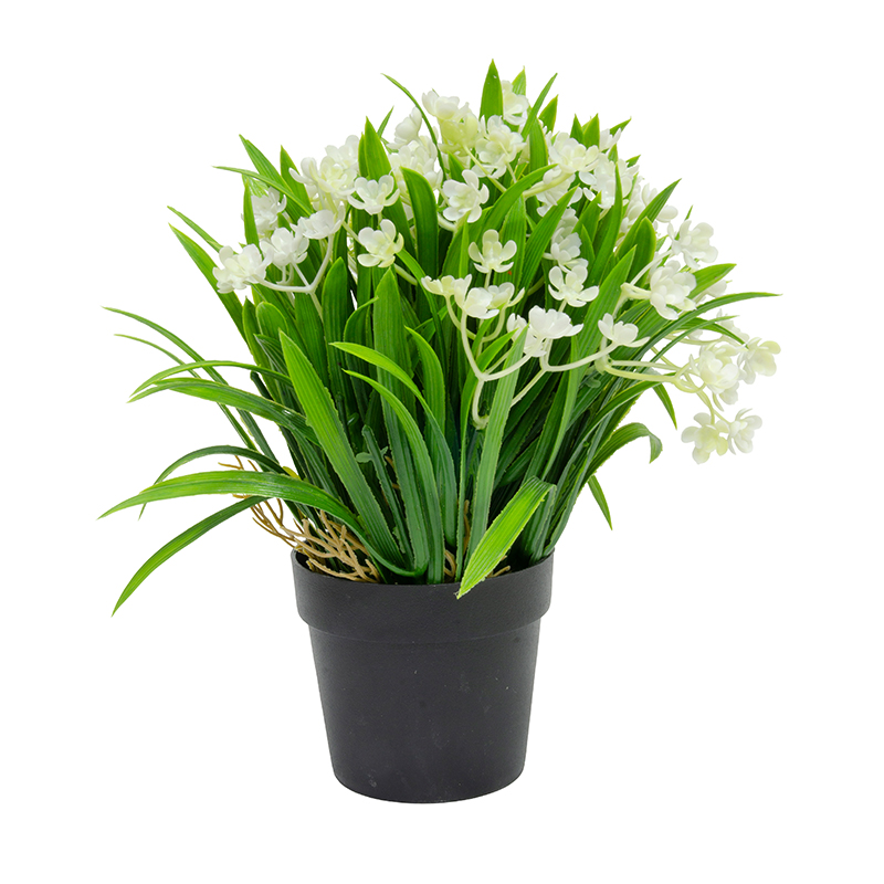 Maceta Negra con Lirio Blanco 23cm