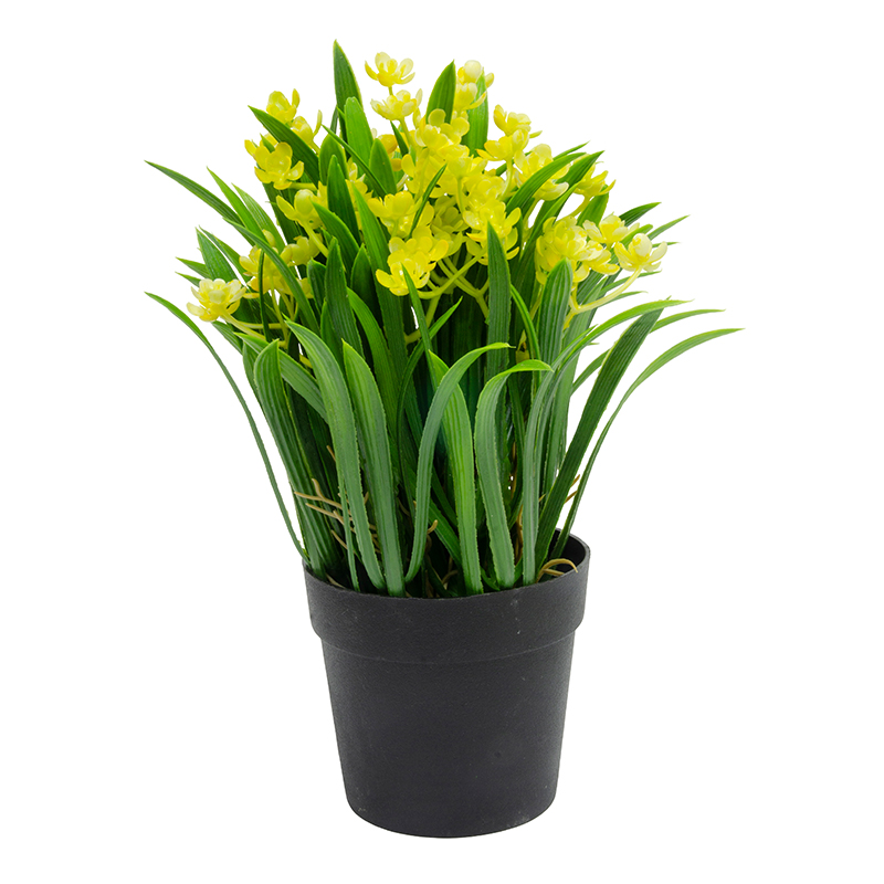 Maceta Negra con Lirio Amarillo 23cm