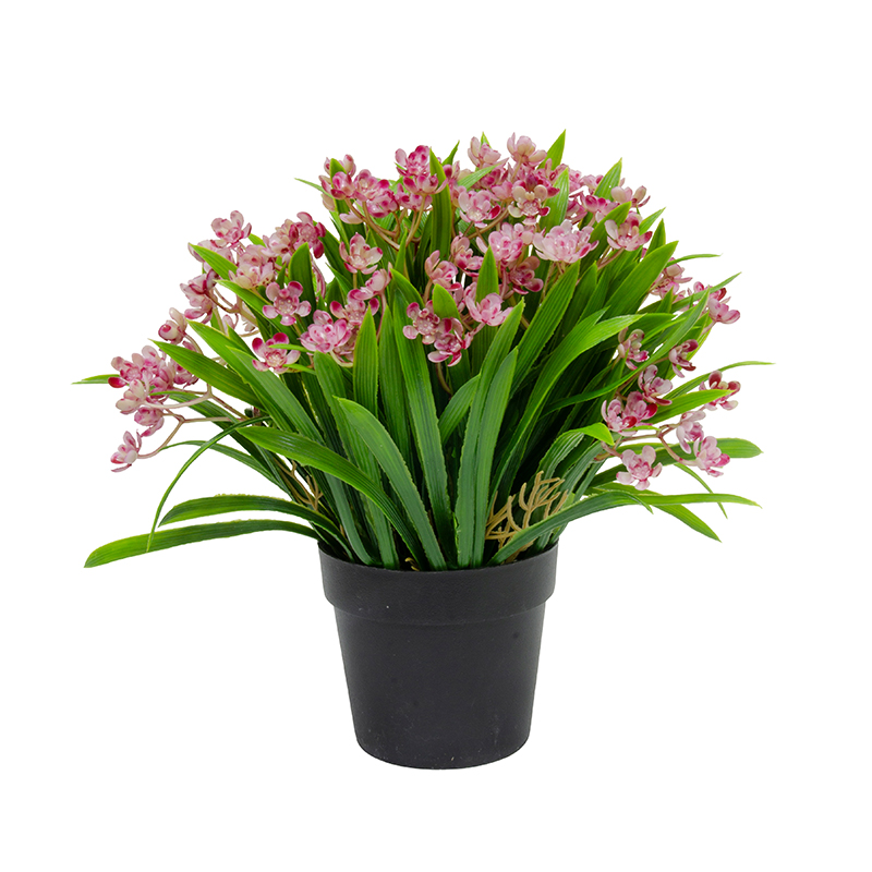 Maceta Negra con Lirio Fucsia 23cm