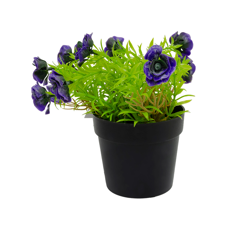 Maceta con Rosa Lila 20cm