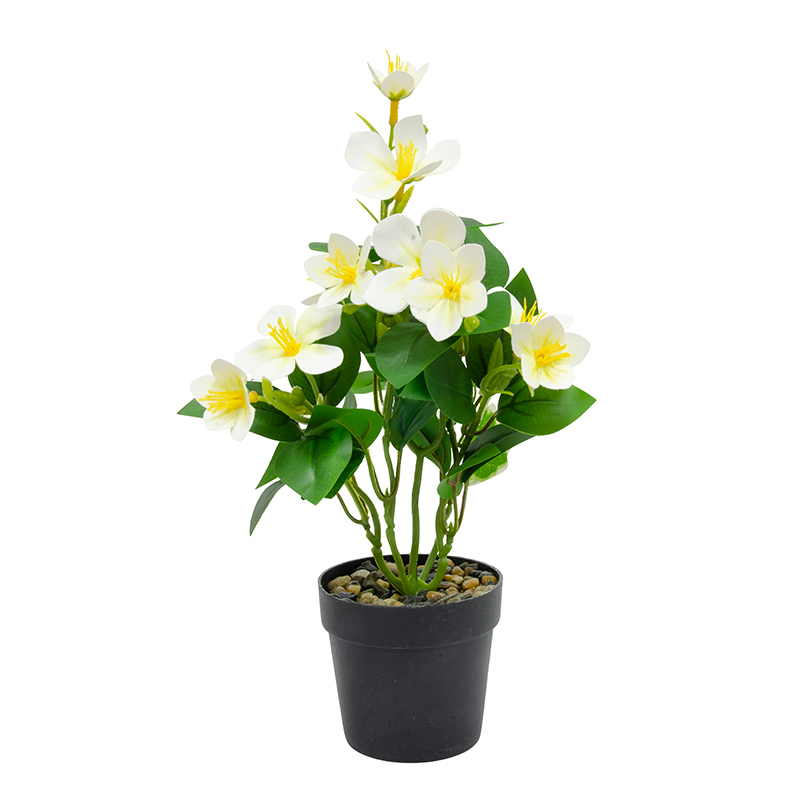 Maceta Negra con Plumería Blanca 30cm