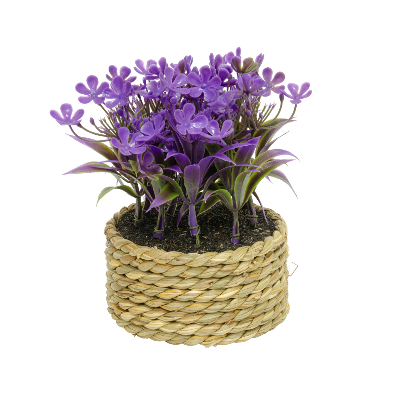 Maceta con Yute con Verbena Morada 14cm