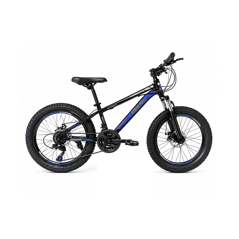 Bicicleta 20" Alpine 3.0 21V Negra con Azul Vitaform