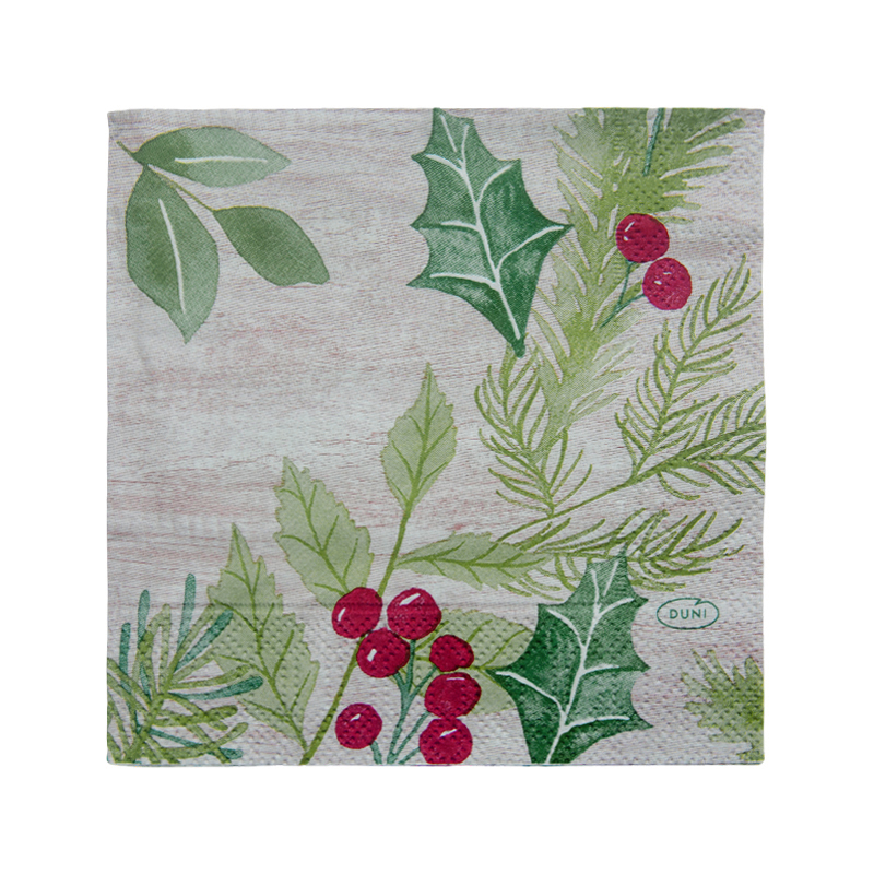 Servilleta Winter Greene 24x24cm