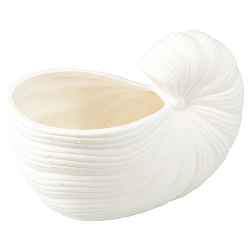 Maceta Concha Porcelana Blanco 20x10cm