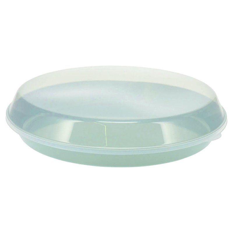 Bandeja con Tapa Plastica 35.5X8.5cm 
