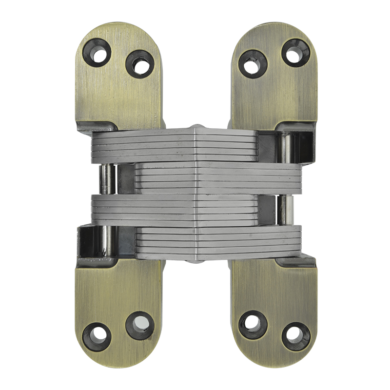 Bisagra Invisible con Tornillos de Bronce Antiguo