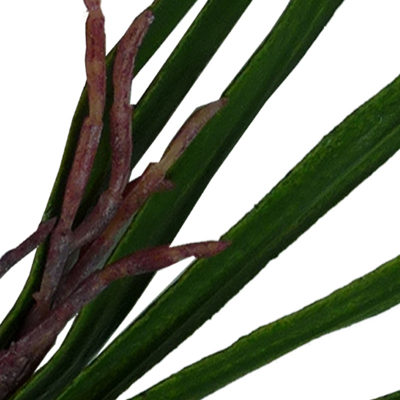 Hoja larga