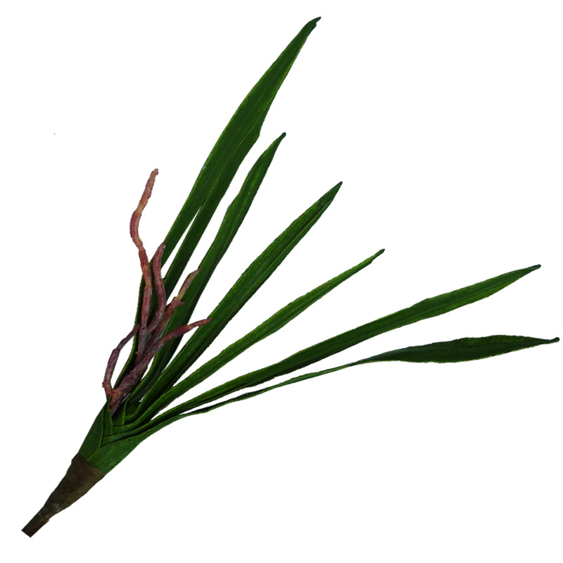 Hoja larga