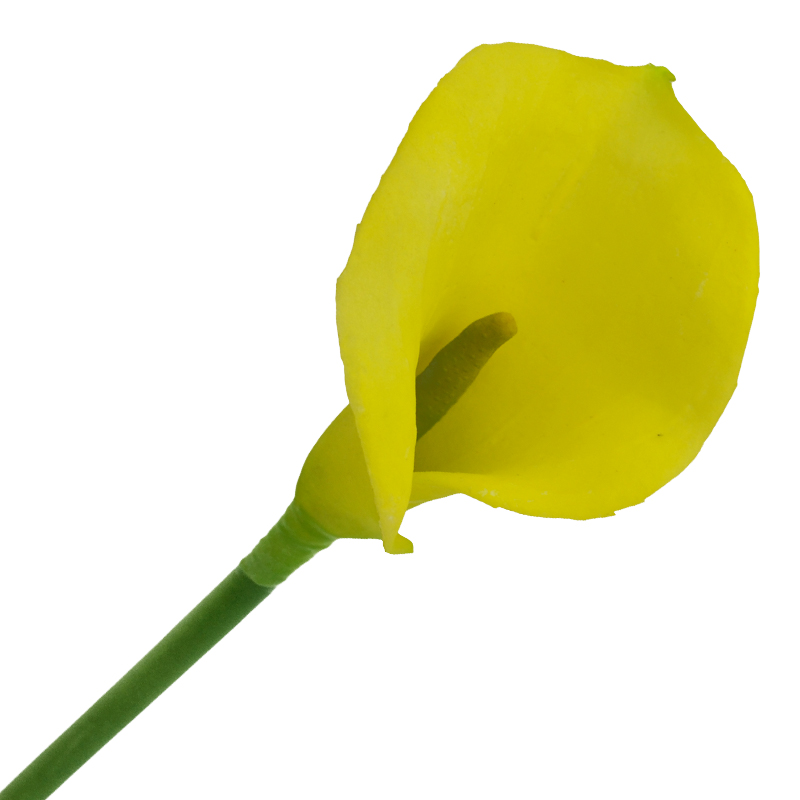 Flor Mini Calla Amarilla
