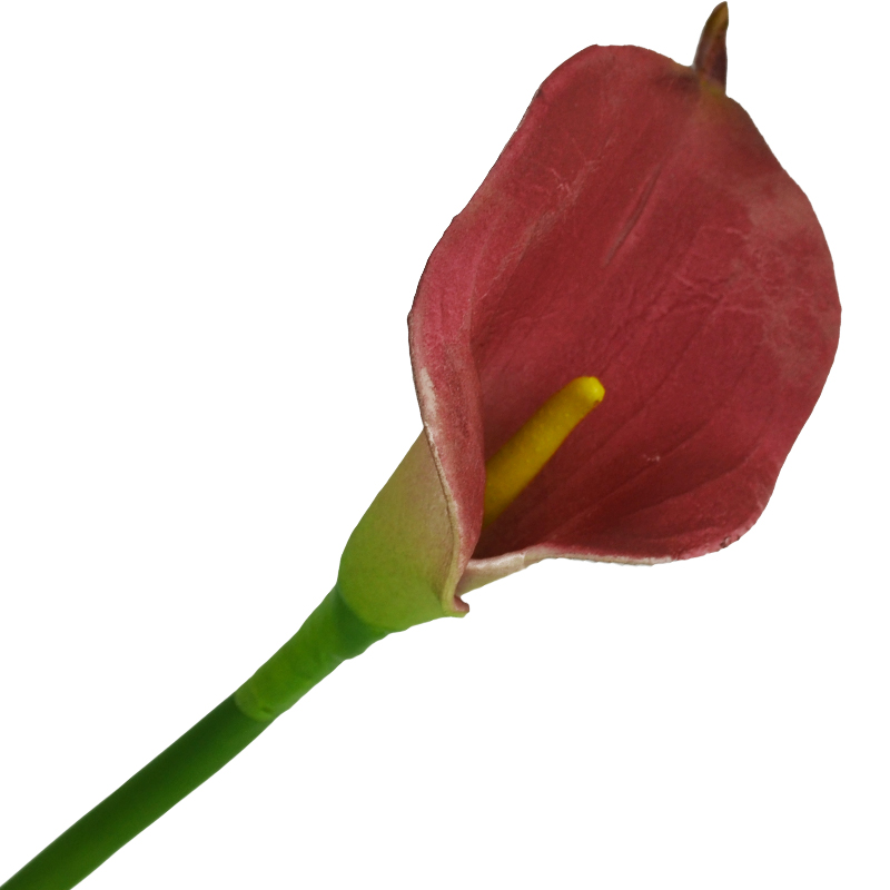 Flor Mini Calla Roja