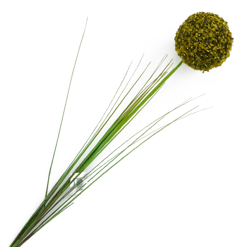 Flor Allium Cepa Verde