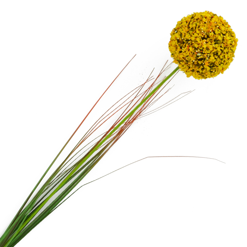 Flor Allium Cepa Amarilla