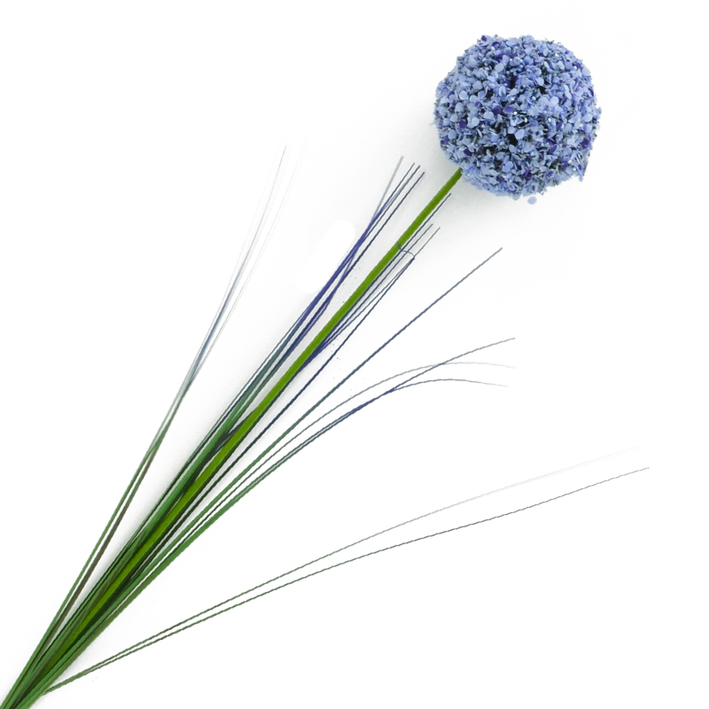 Flor Allium Cepa Lila 