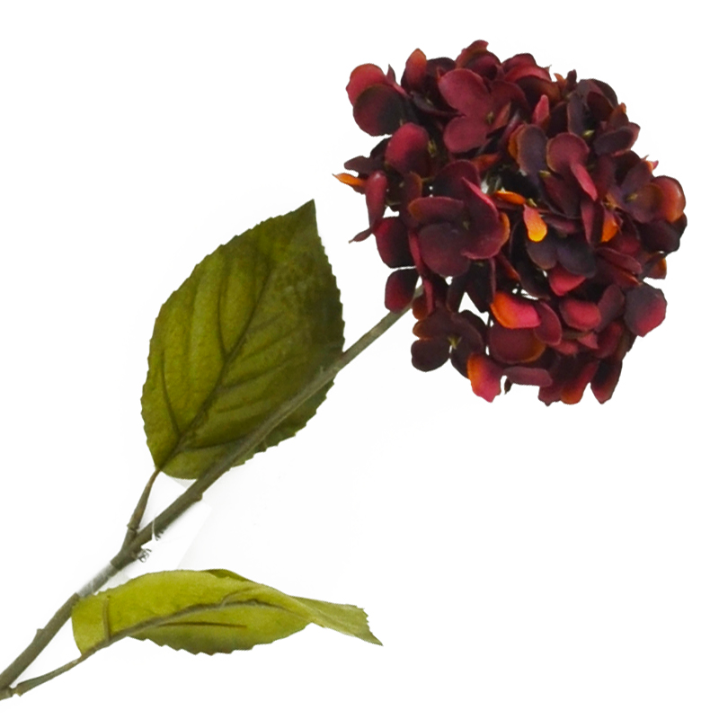 Flor Hortensia Pequeña Roja 