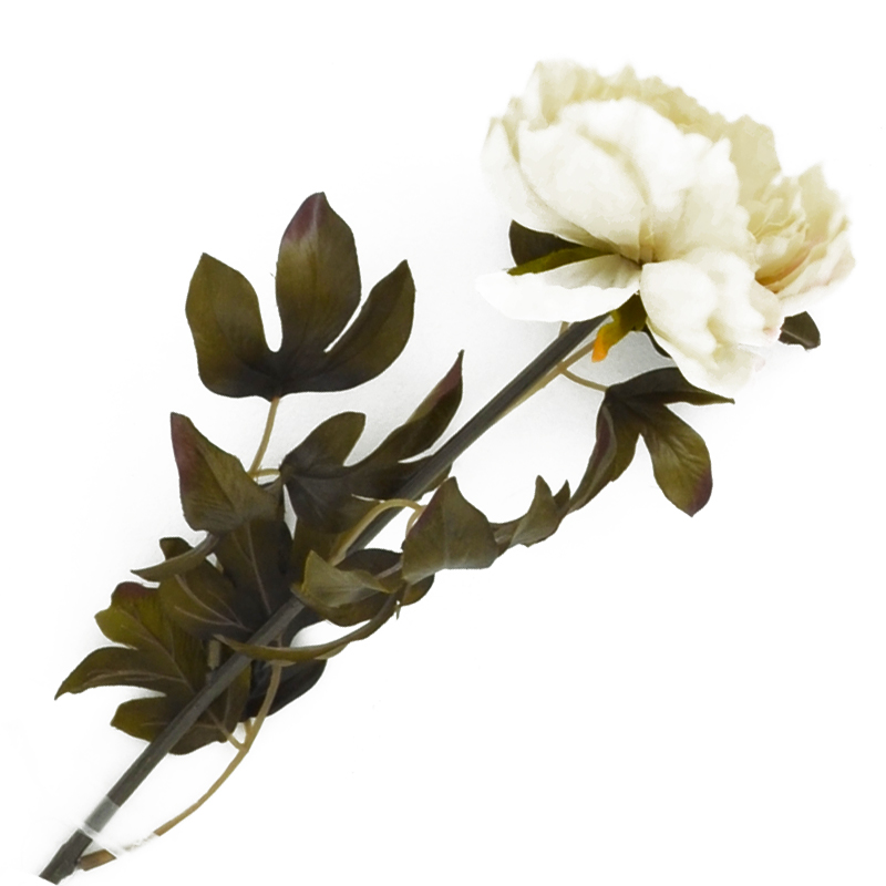 Flor Peonia Pequeña Blanca 