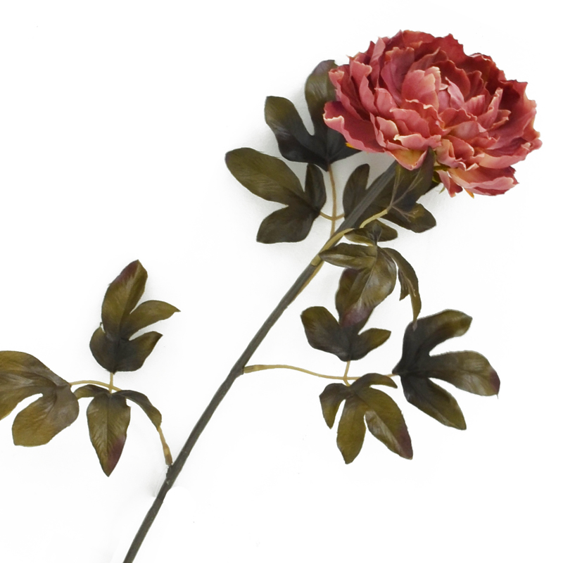 Flor Peonia Pequeña Salmon 