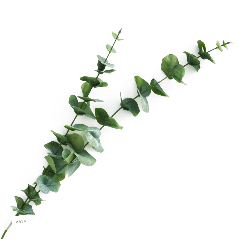Rama Eucalipto Verde Oscuro 