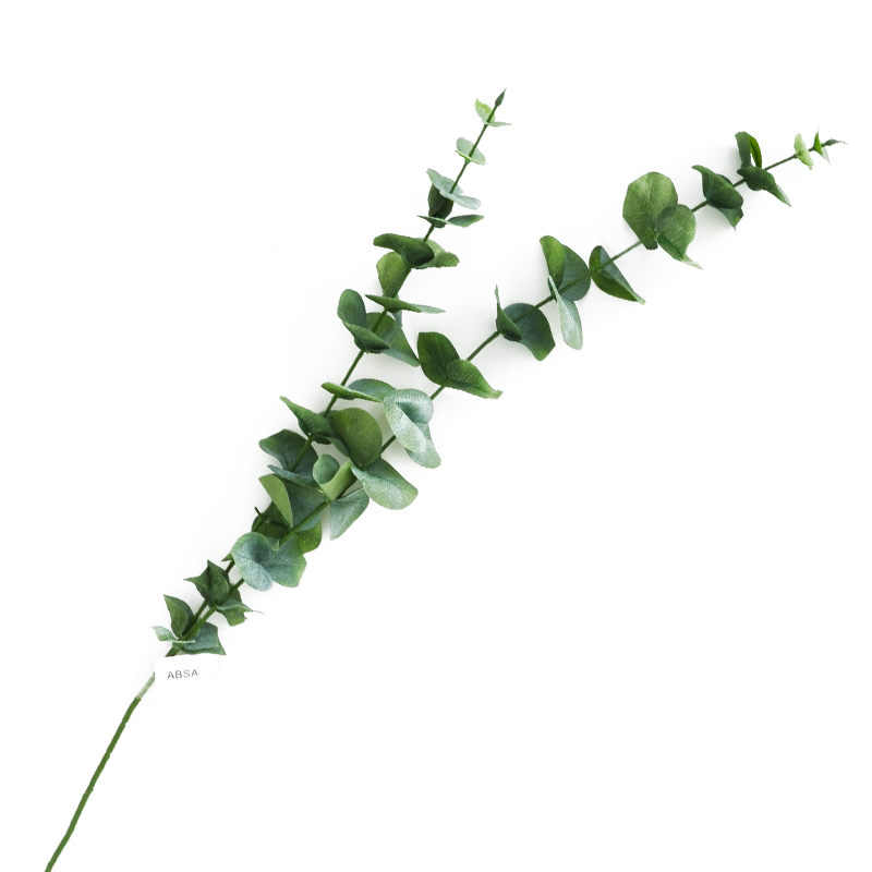 Rama Eucalipto Verde Oscuro 