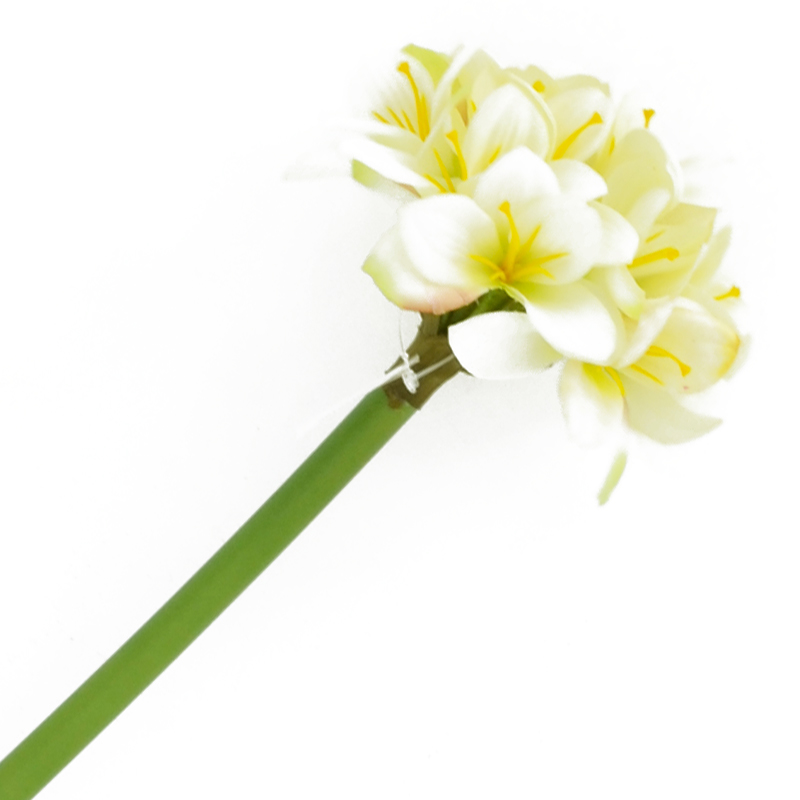 Flor Amarilis Blanca 