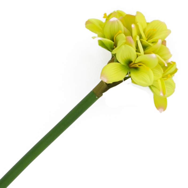 Flor Amarilis Verde 