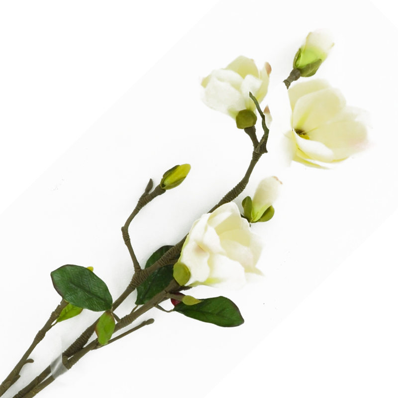 Flor Magnolia Blanca 