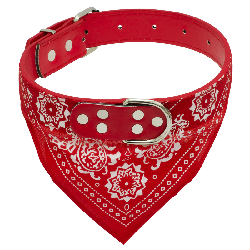 Collar de Cuero con Pañuelo