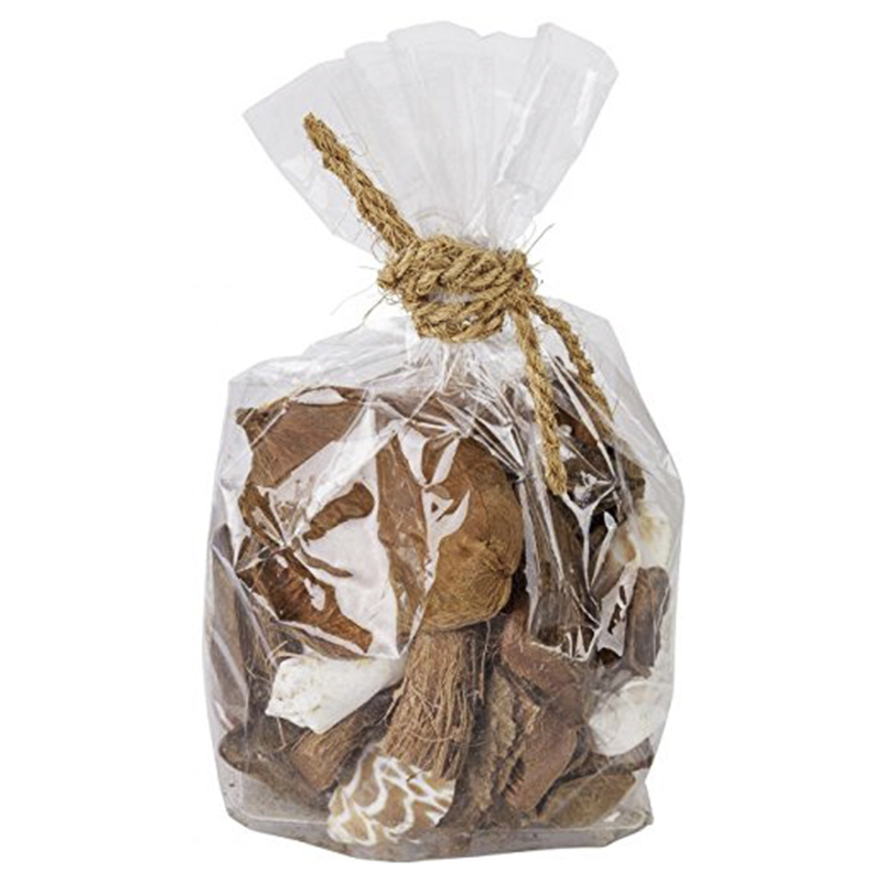 Conchas Decorativas