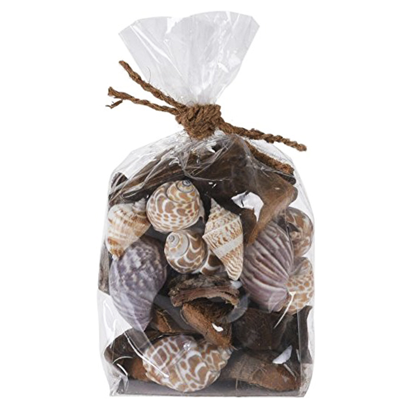 Conchas Decorativas