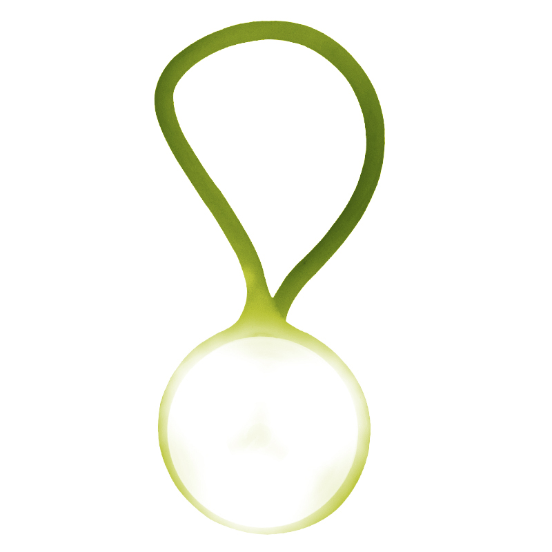 Luz Led para Carteras 