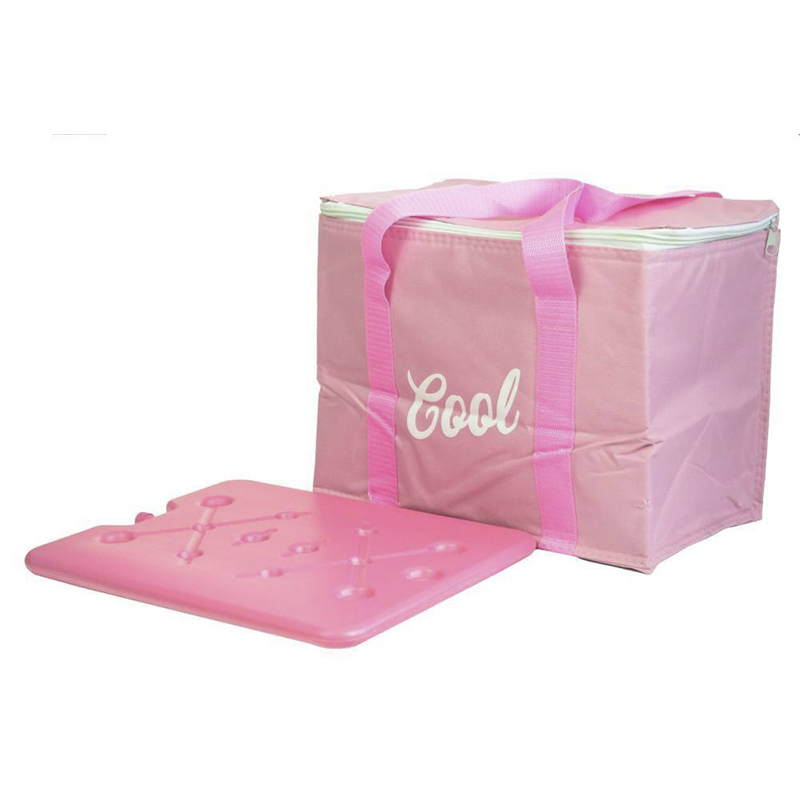 Bolsa Térmica de 20 Litros con Refrigerante Summer