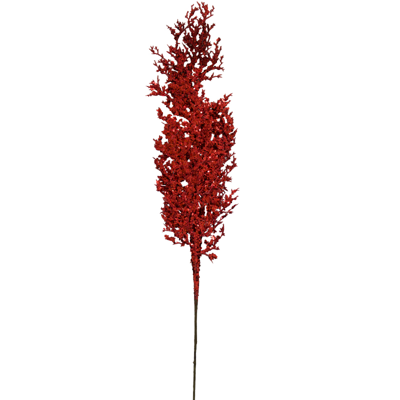 My Image 71