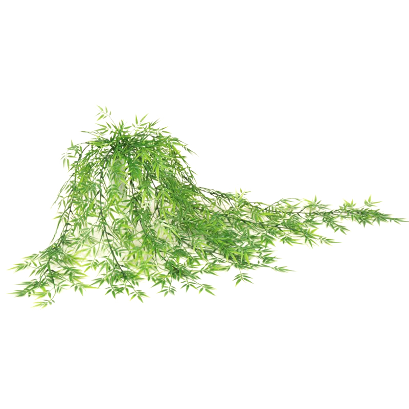 Hoja de Bamboo 100cm