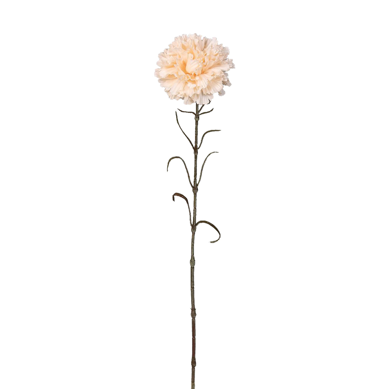 Flor Carnation Beige 65cm