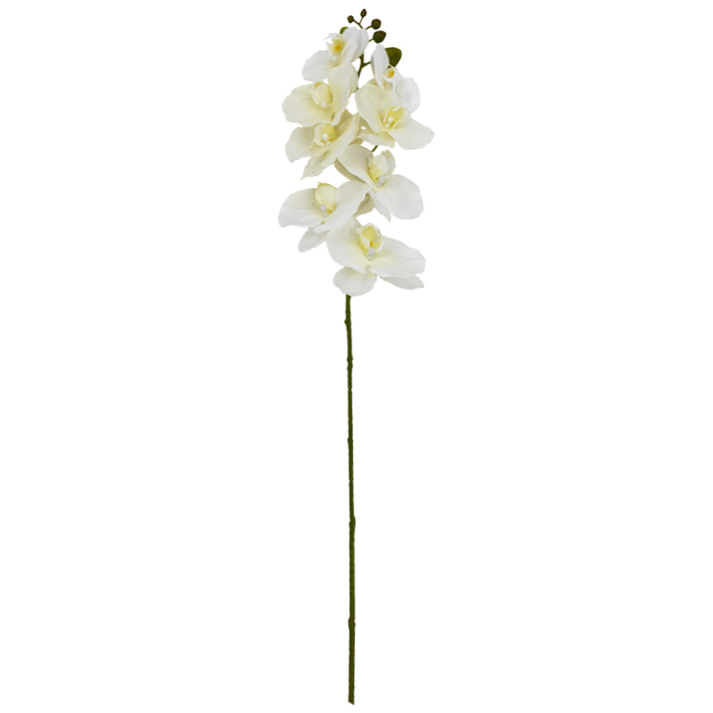 Flor Orquídea Gigante Blanca 75cm