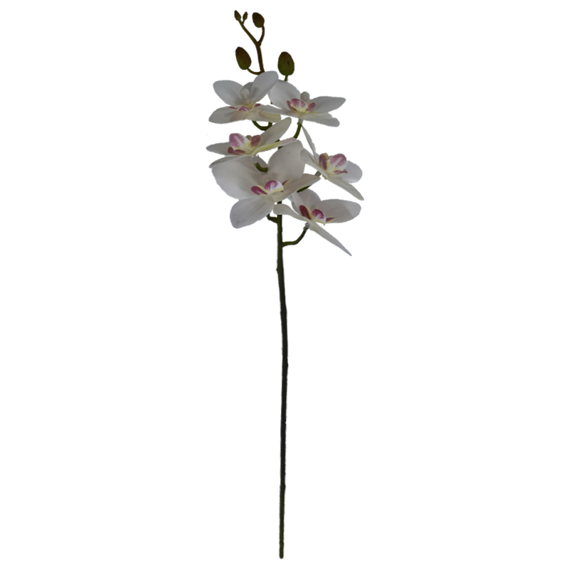 Flor Orquídea Mediana Blanco Fucsia 60cm