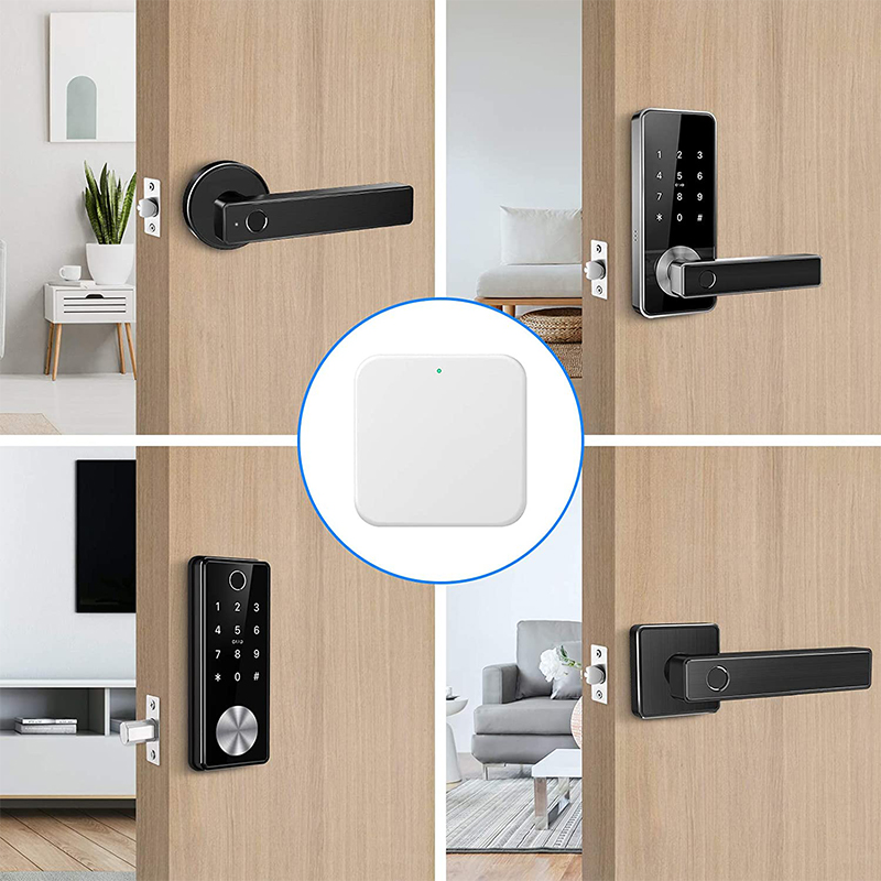 Smart Look Gateway 