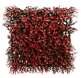 Jardín Vertical Eugenia Roja 50X50cm