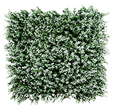 Jardín Vertical Eugenia Blanca 50X50cm