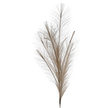 Pluma Artificial Café 101cm