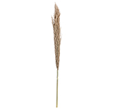 Rama Seca Decorativa 150cm