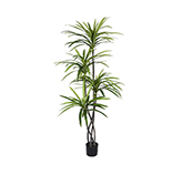 Planta Artificial Dracanea 210cm