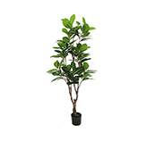 Planta Artificial Caucho 160cm