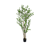 Planta Artificial Benjamín 190cm