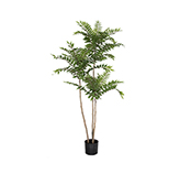 Planta Artificial Atlanthus 190cm