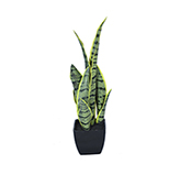 Planta Artificial Lengua de Suegra 40cm