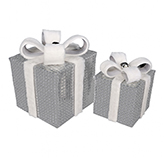 Set de Regalos X2
